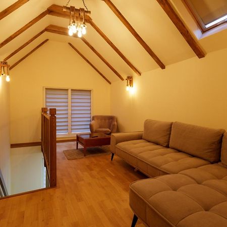 The Cozy Nook - Ultra Central Brasov Exterior photo